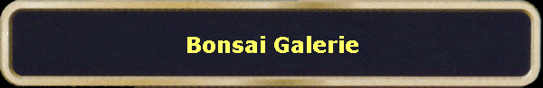 Bonsai Galerie