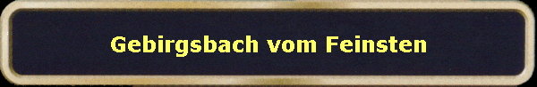 Gebirgsbach vom Feinsten