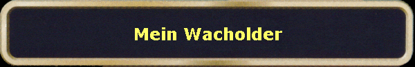 Mein Wacholder
